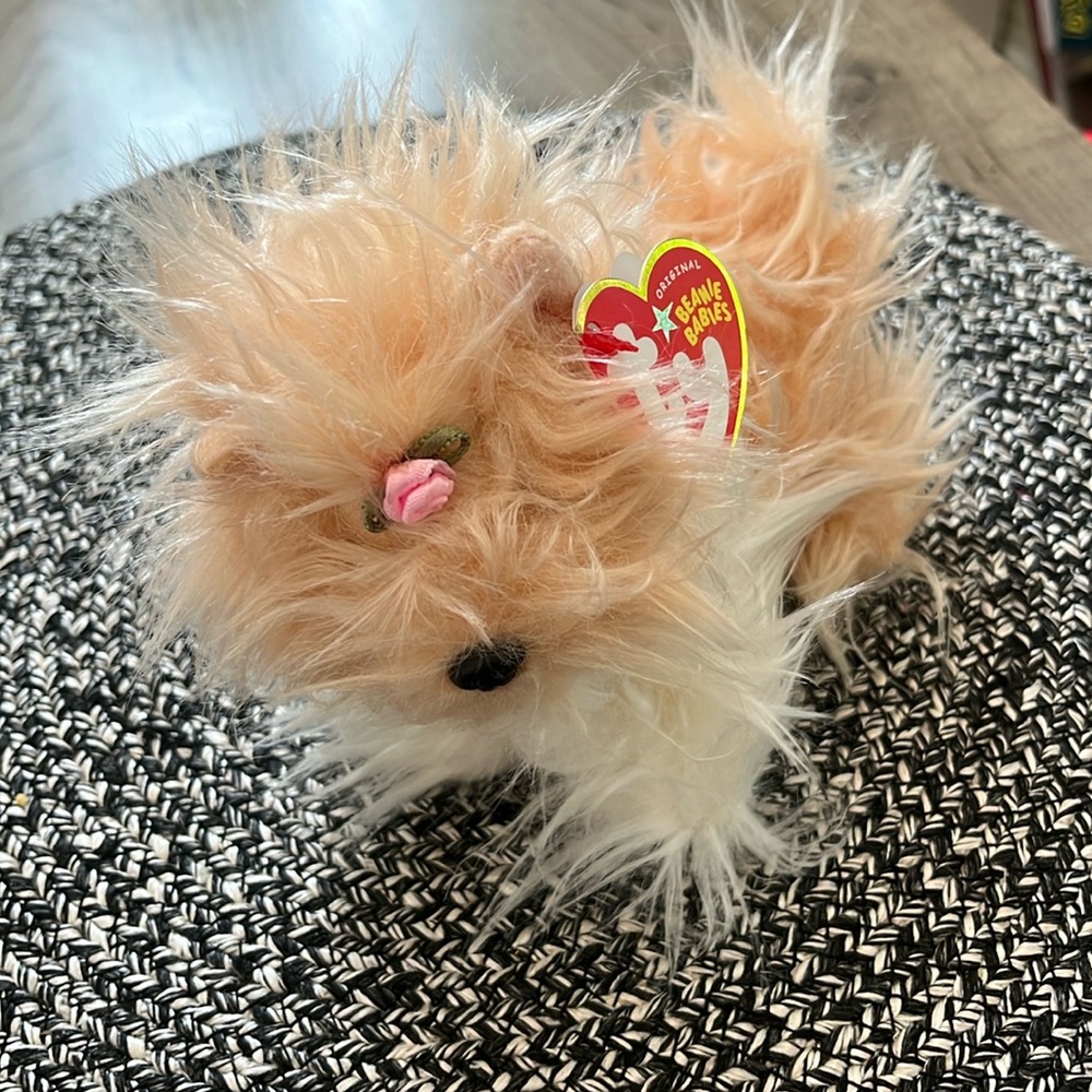 Ty Beanie Babies Tibby Shih Tzu Puppy Dog Plush 2004 Stuffed Animal 6" NWT